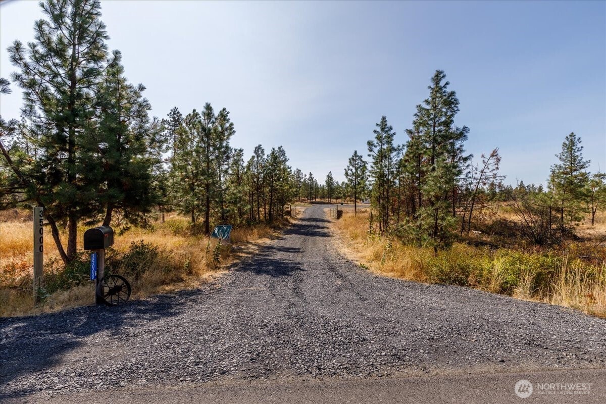 35000 Miles Creston Road North Creston, WA 99117 - Photo 16 of 26 a view of a backyard with large trees