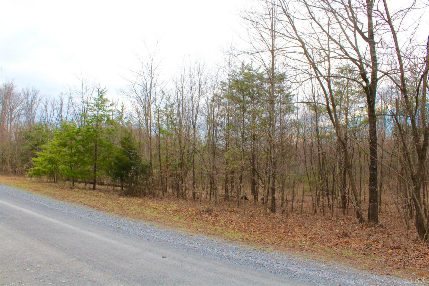 2 Leesville Lake Drive Gretna, VA 24557 - Photo 12 of 16 a view of a backyard of the house