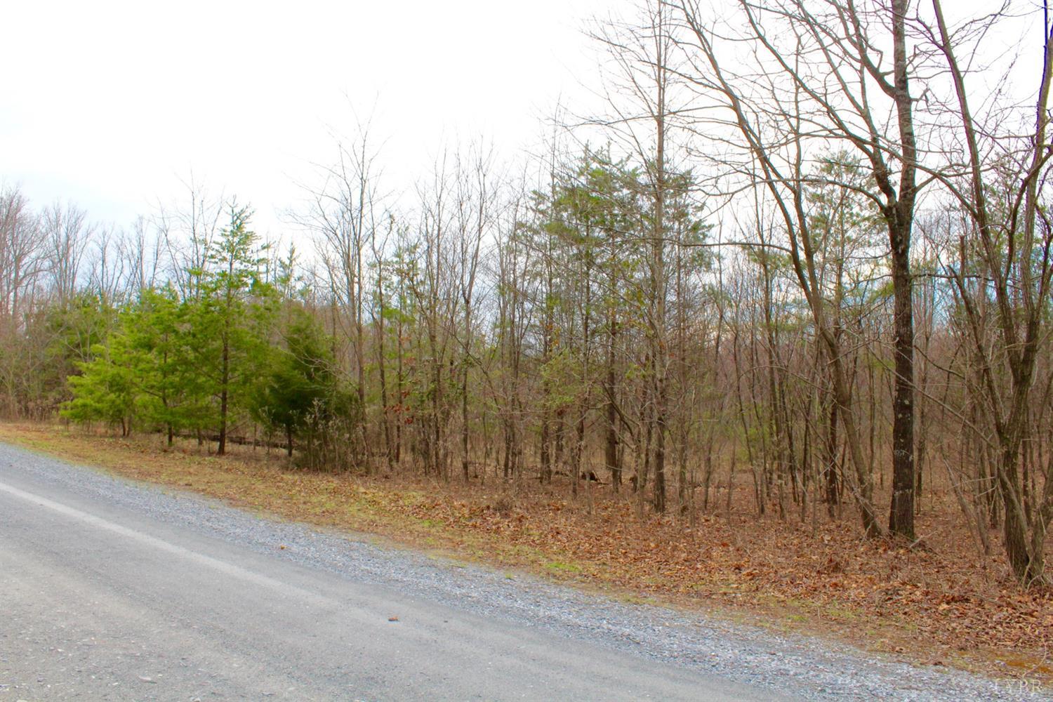 2 Leesville Lake Drive Gretna, VA 24557 - Photo 13 of 16 a view of a backyard of the house