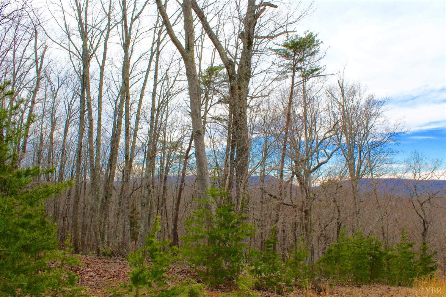 2 Leesville Lake Drive Gretna, VA 24557 - Photo 14 of 16 a backyard of a house with lots of green space