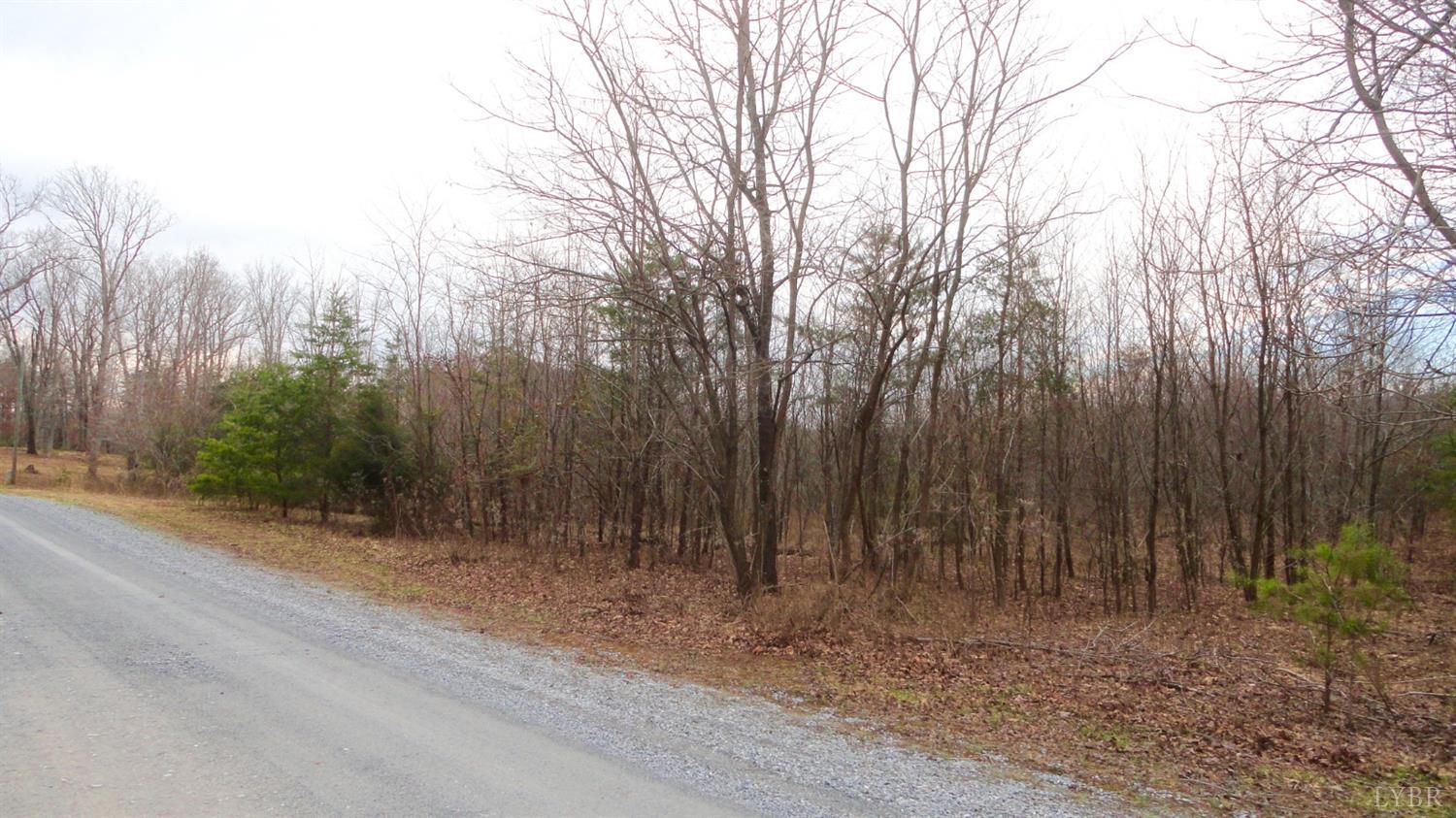 2 Leesville Lake Drive Gretna, VA 24557 - Photo 15 of 16 a view of a yard with trees