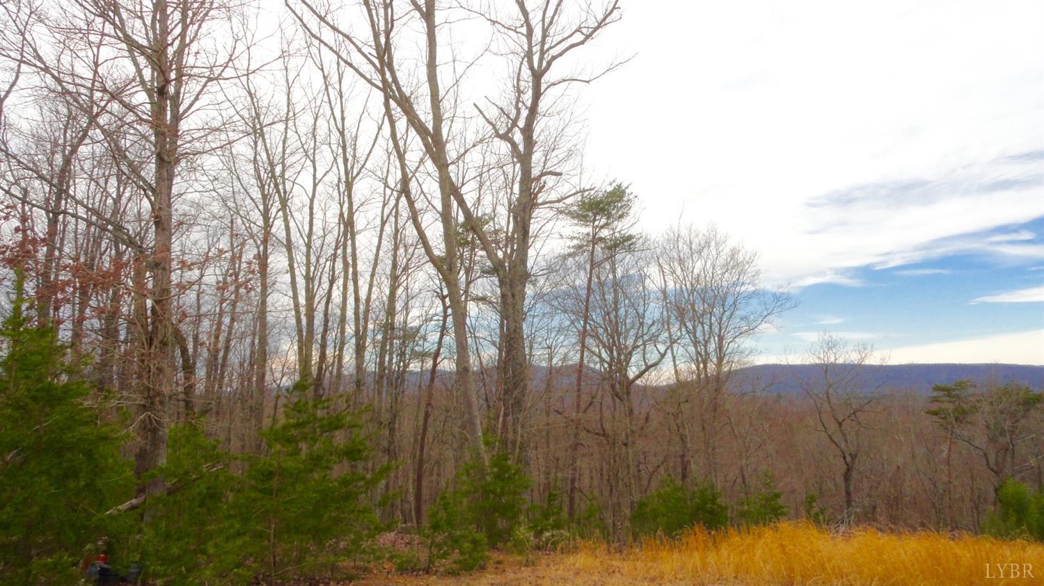 2 Leesville Lake Drive Gretna, VA 24557 - Photo 3 of 16 a view of outdoor space with mountain view