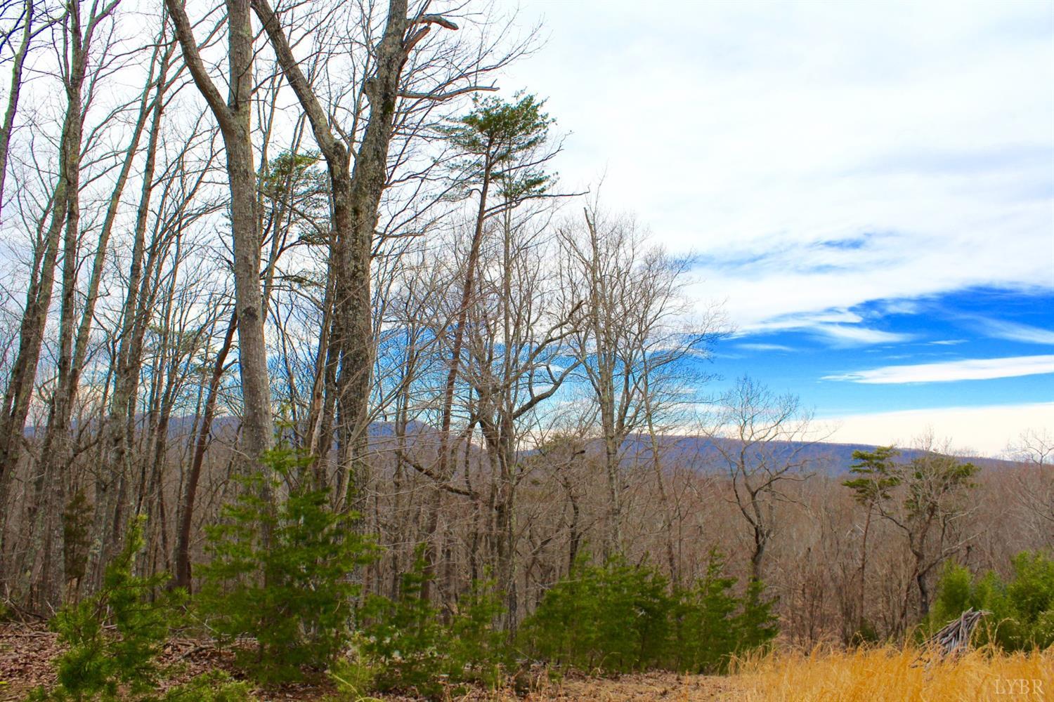 2 Leesville Lake Drive Gretna, VA 24557 - Photo 4 of 16 a view of mountain view with trees in the background