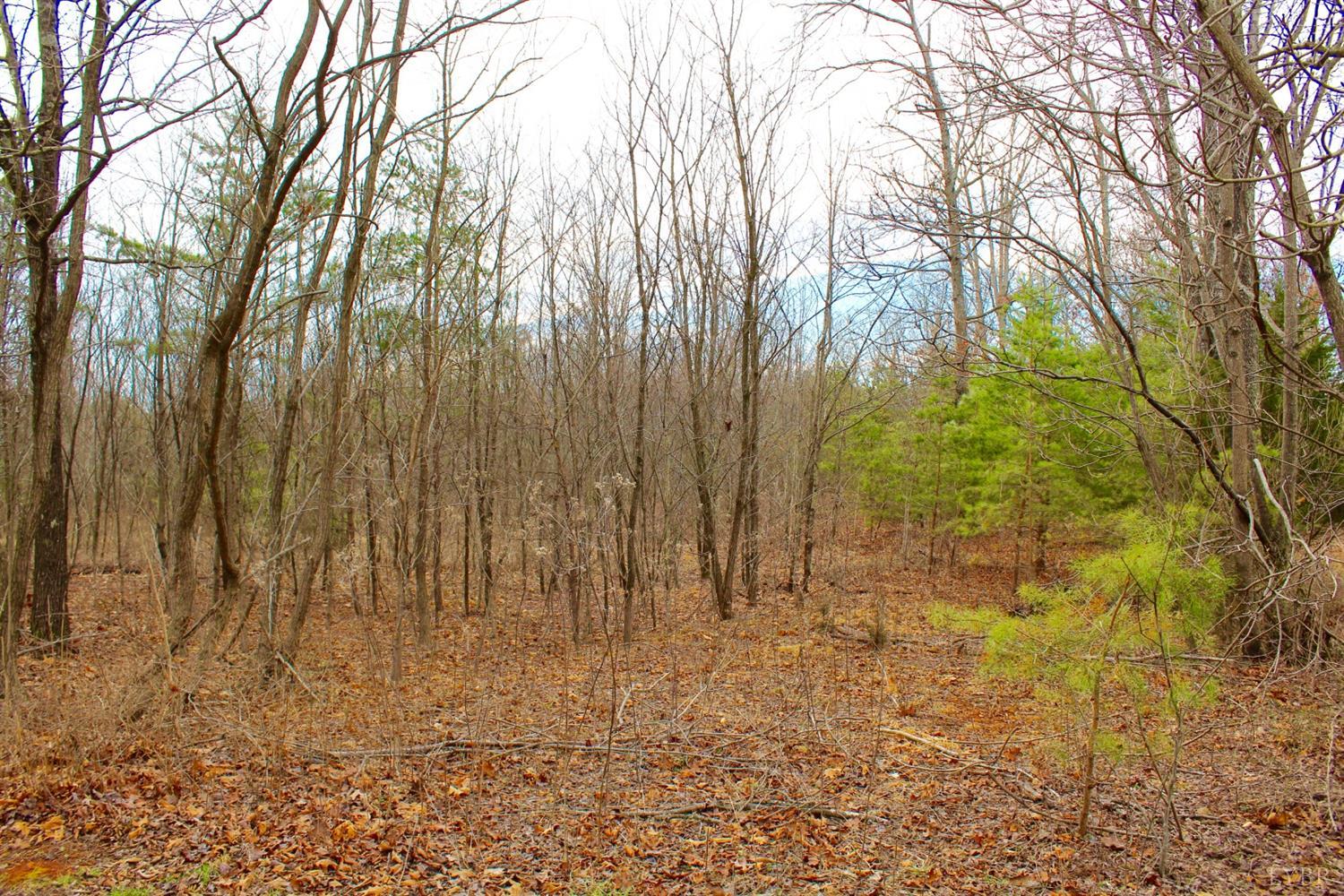 2 Leesville Lake Drive Gretna, VA 24557 - Photo 7 of 16 a view of wooden fence