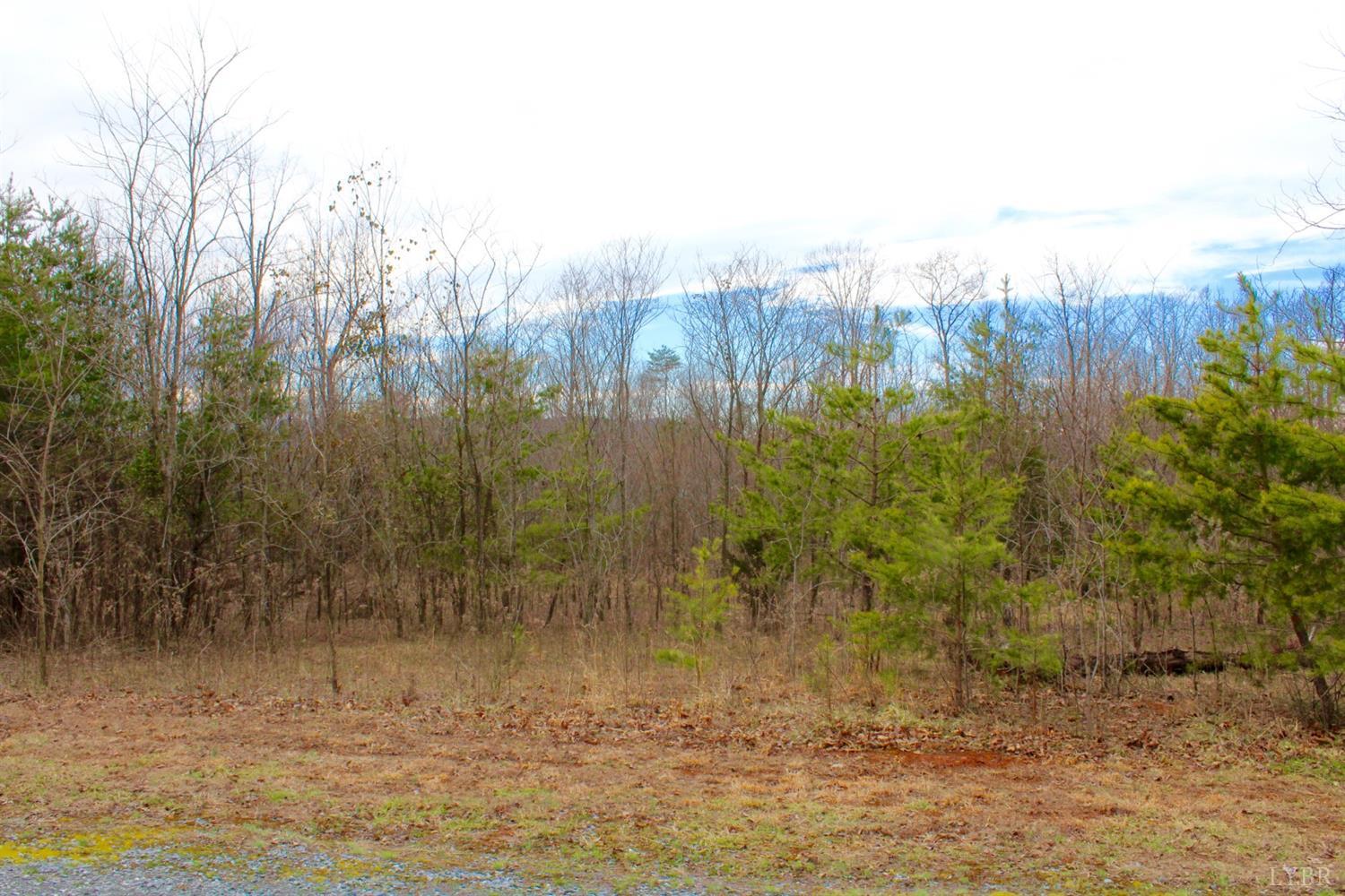 2 Leesville Lake Drive Gretna, VA 24557 - Photo 8 of 16 a view of lake view