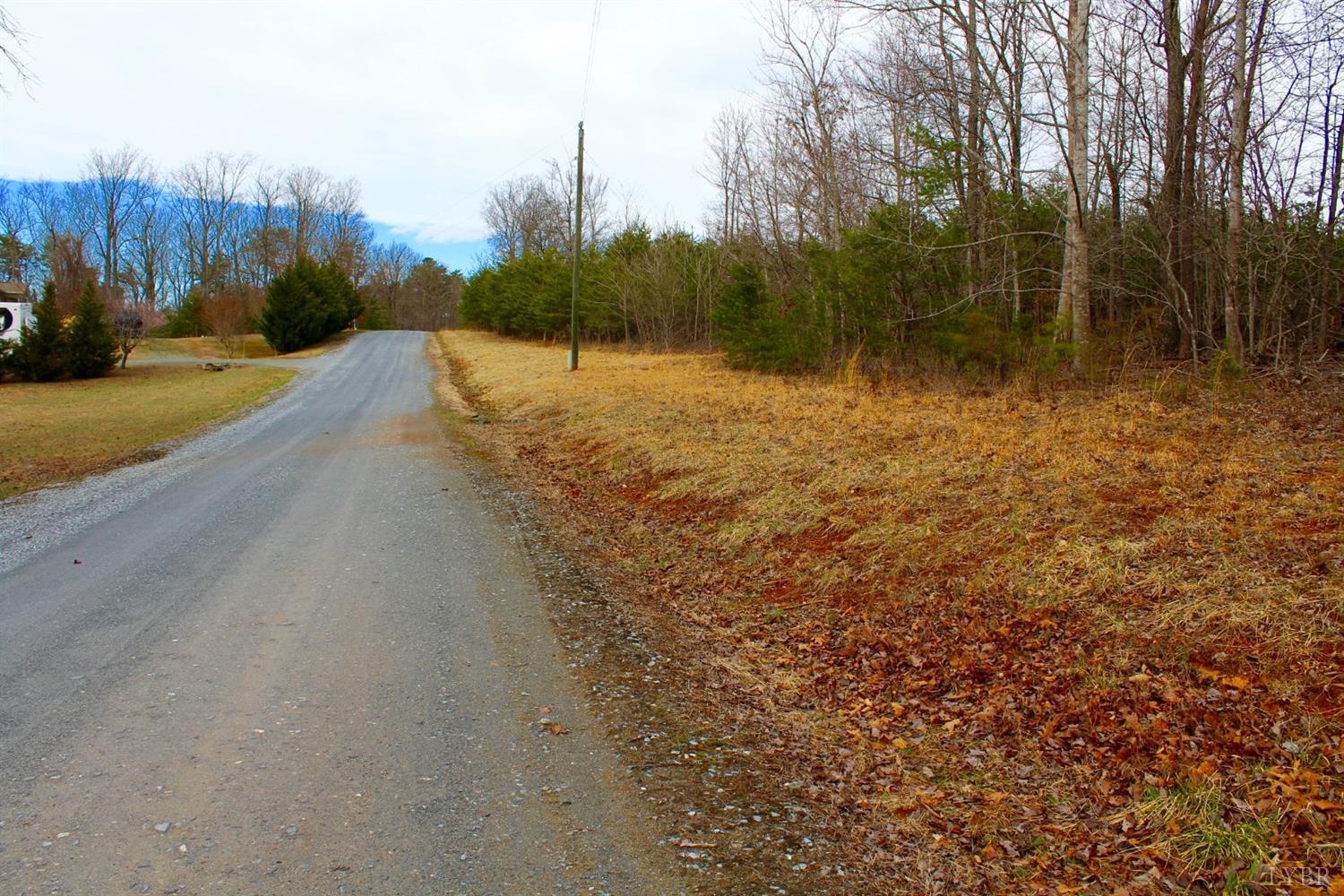 2 Leesville Lake Drive Gretna, VA 24557 - Photo 10 of 16 a view of a pathway with a wrought fence