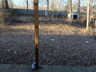 14837 Fontana Road Morning View, KY 41063 - Photo 22 of 29 Gallery Image 22