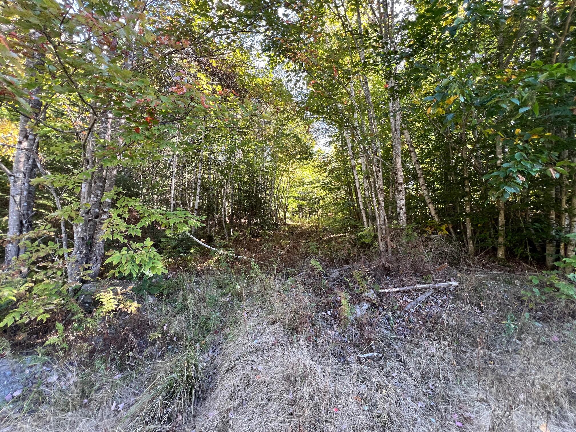 201 Map Road Dexter, ME 04930 - Photo 9 of 14 10