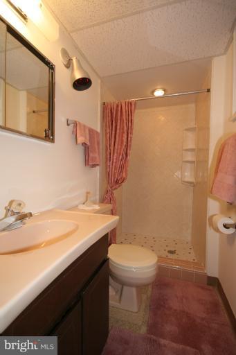 12604 Littleton Street Silver Spring, MD 20906 - Photo 20 of 24 Bath - bsmt