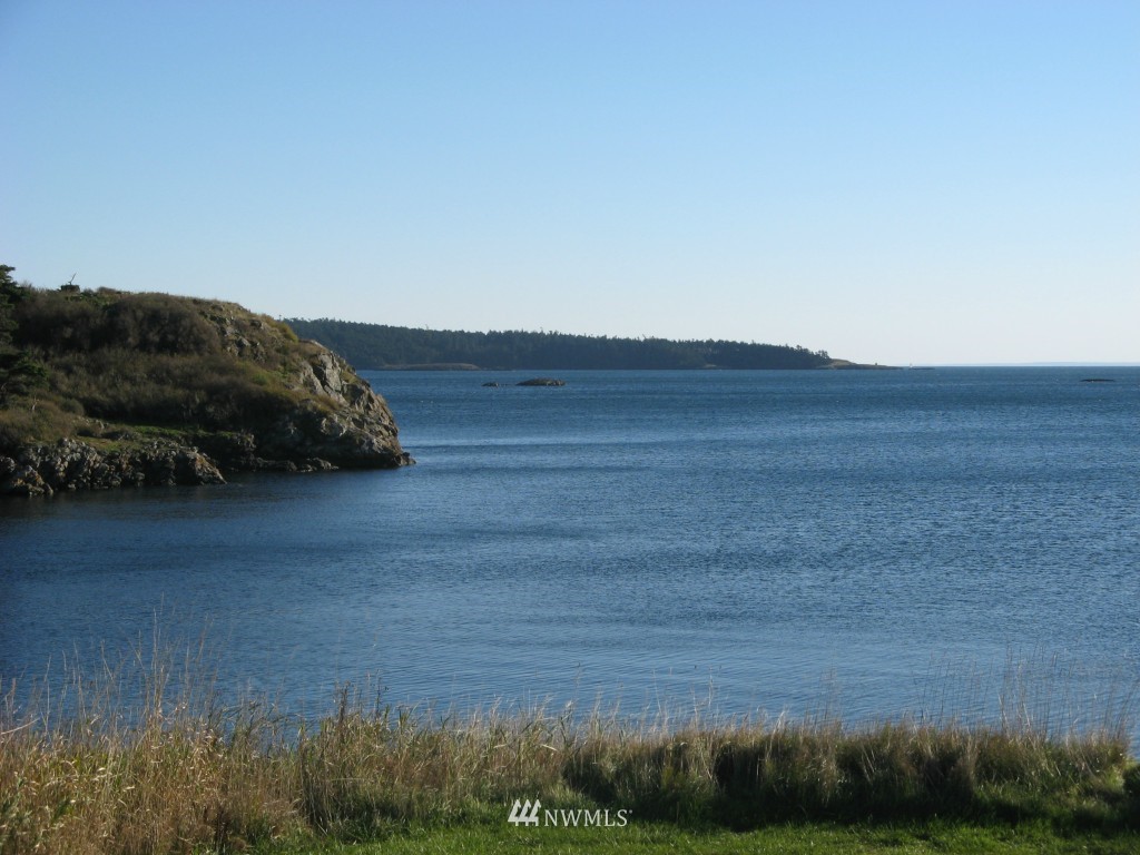 241 Hodgson Road Lopez Island, WA 98261 - Photo 3 of 5