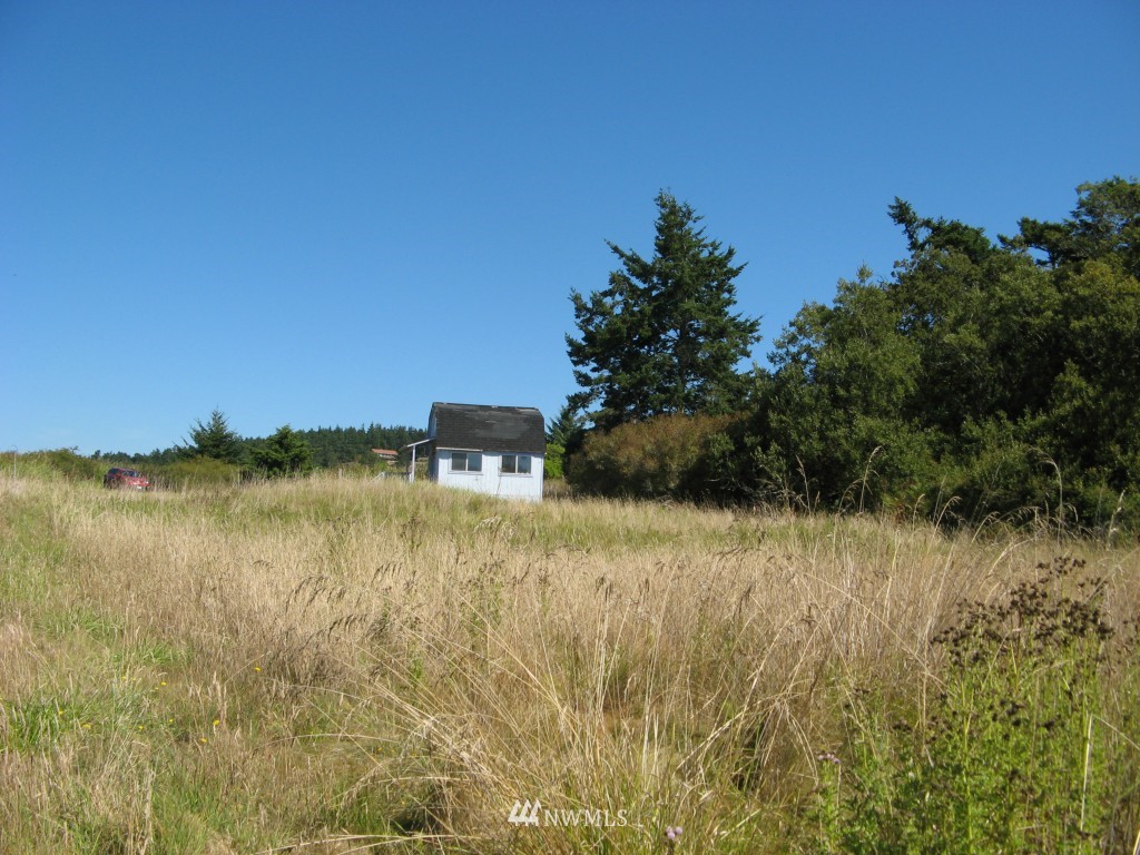 241 Hodgson Road Lopez Island, WA 98261 - Photo 4 of 5