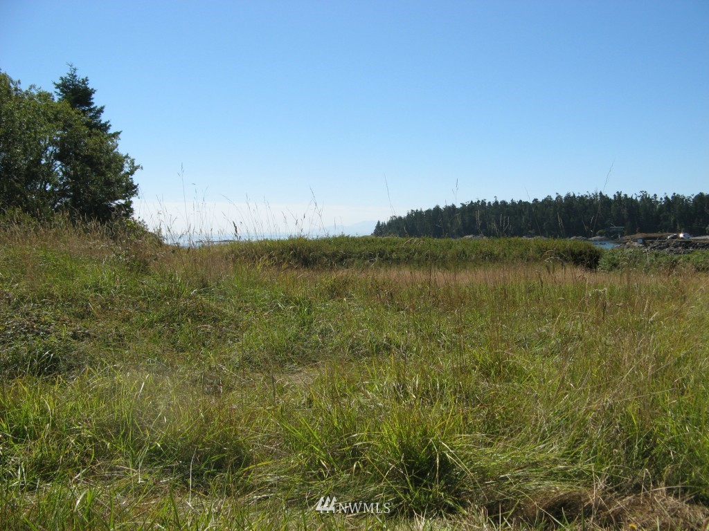 241 Hodgson Road Lopez Island, WA 98261 - Photo 5 of 5