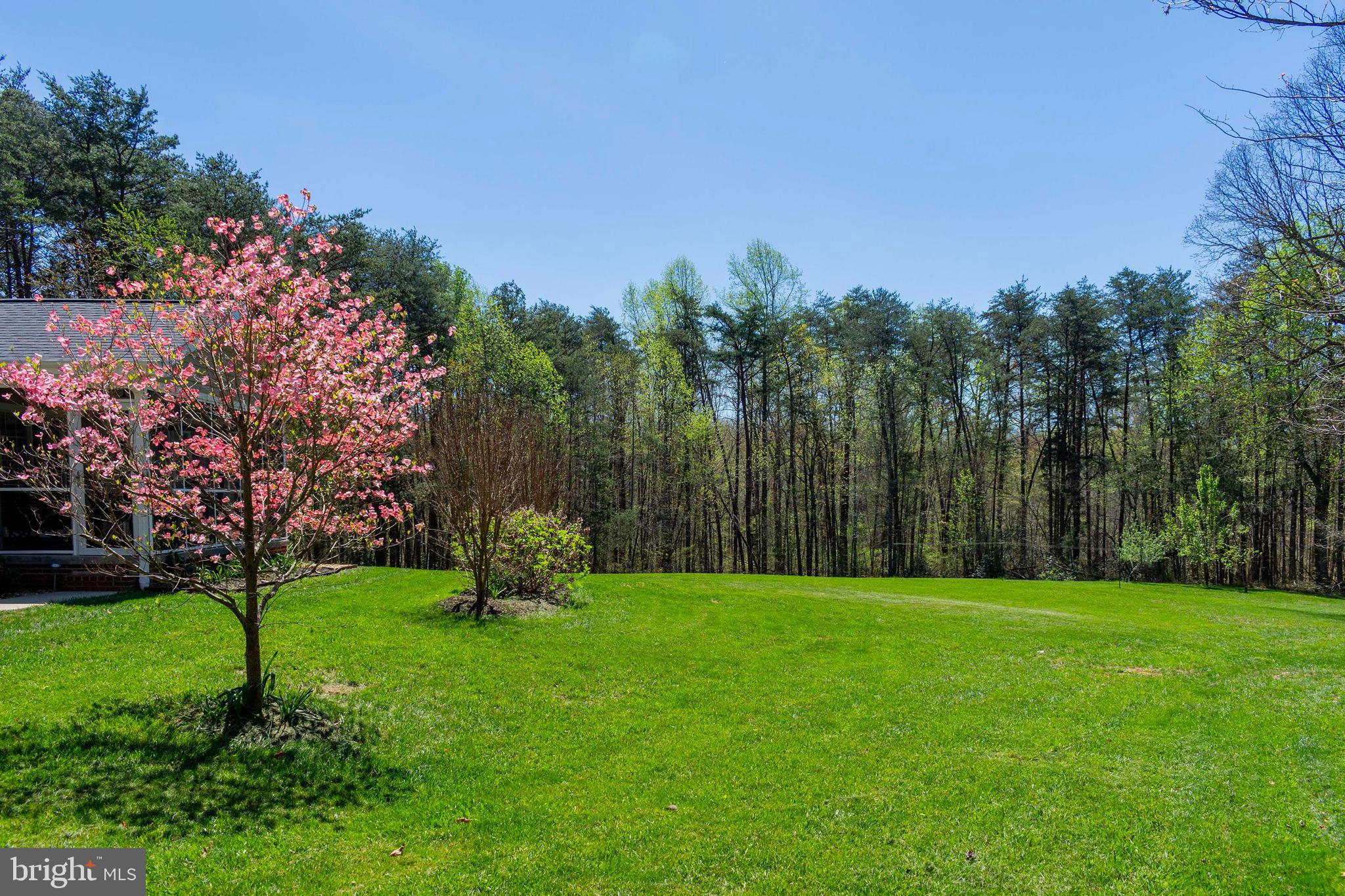16450 Mountain Track Road Orange, VA 22960 - Photo 11 of 52 Beautiful rear yard
