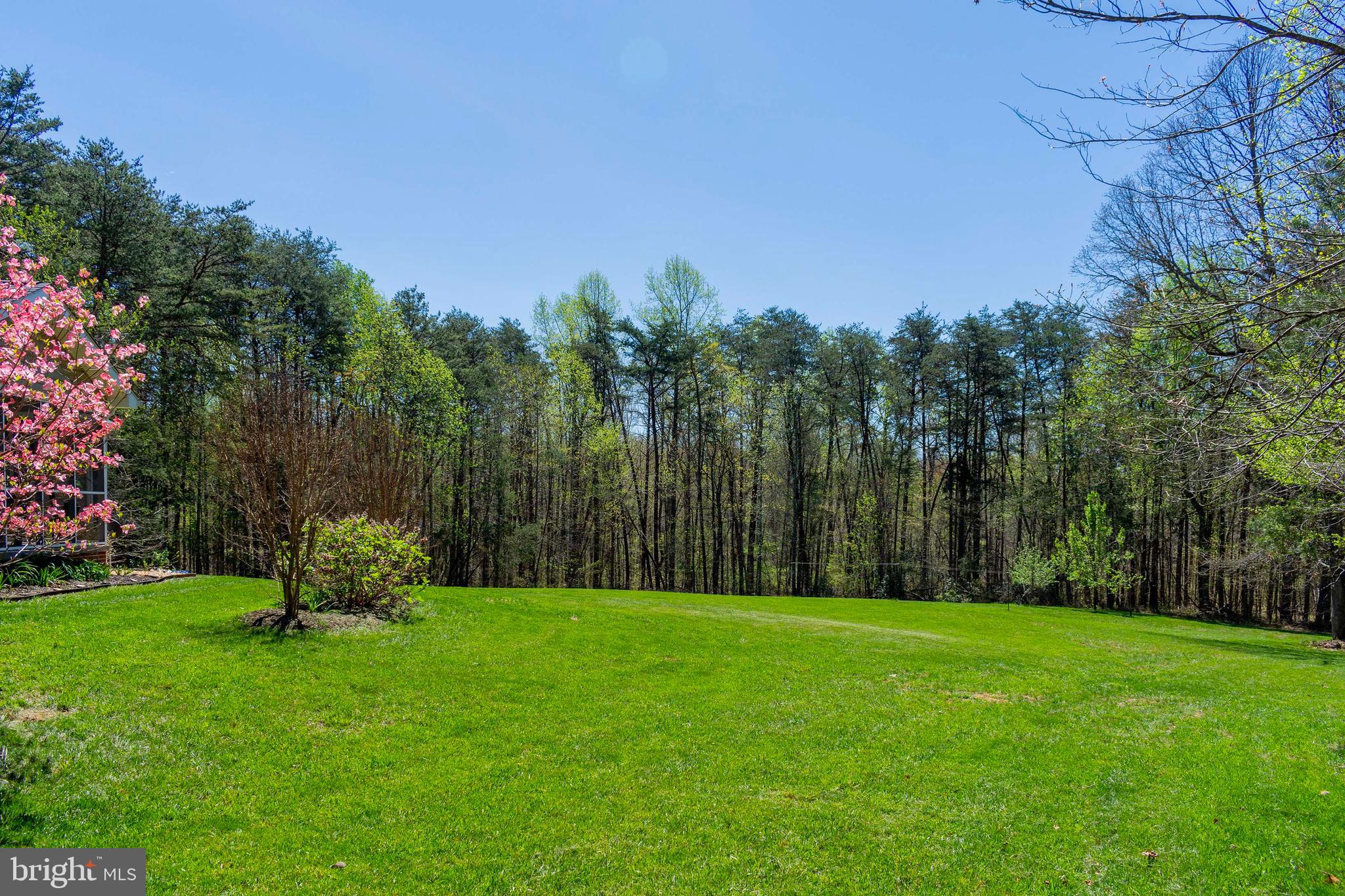 16450 Mountain Track Road Orange, VA 22960 - Photo 10 of 52 What a view