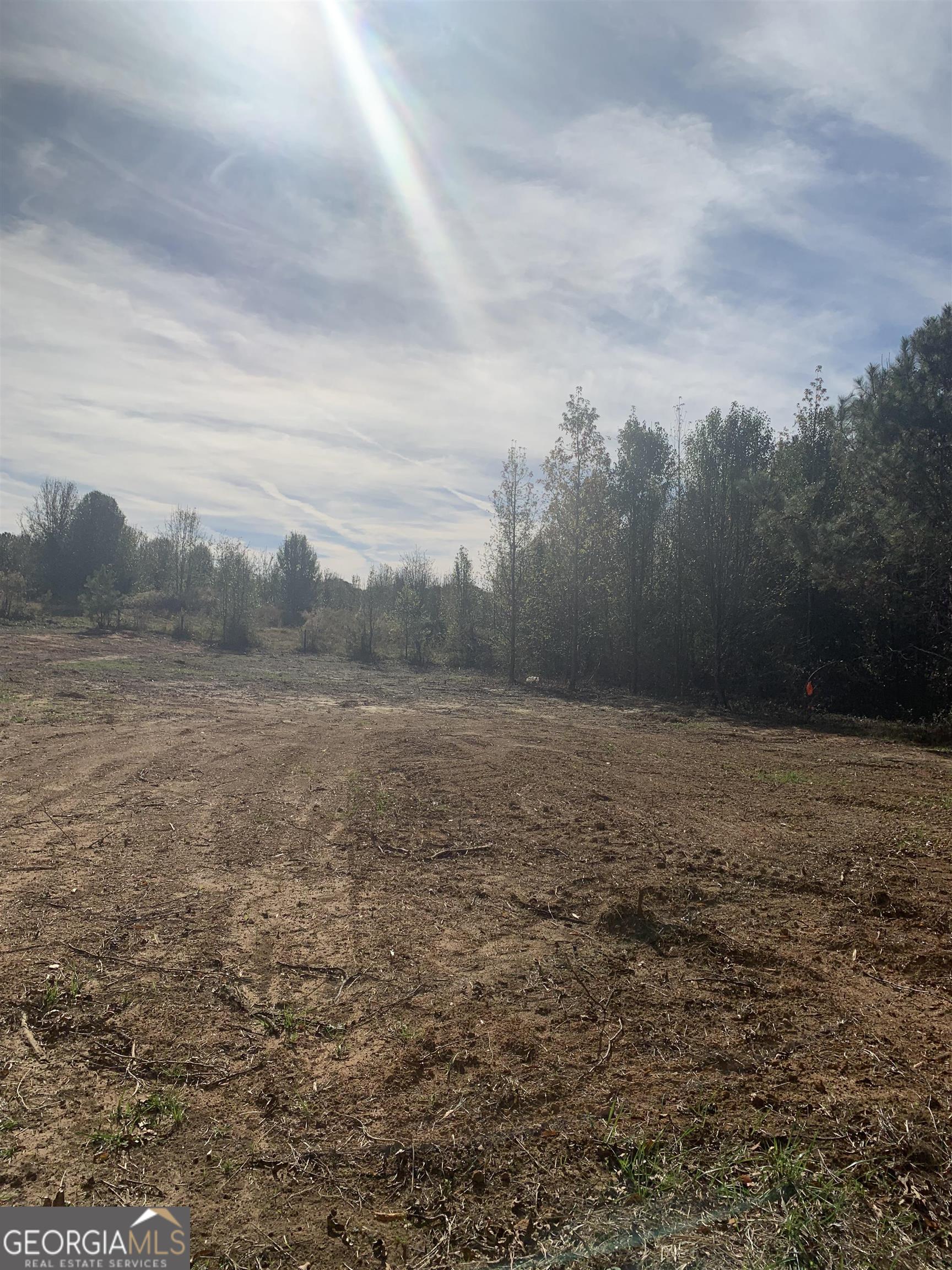 7506 Rivertown Road Fairburn, GA 30213 - Photo 7 of 13 a view of a field with trees in background