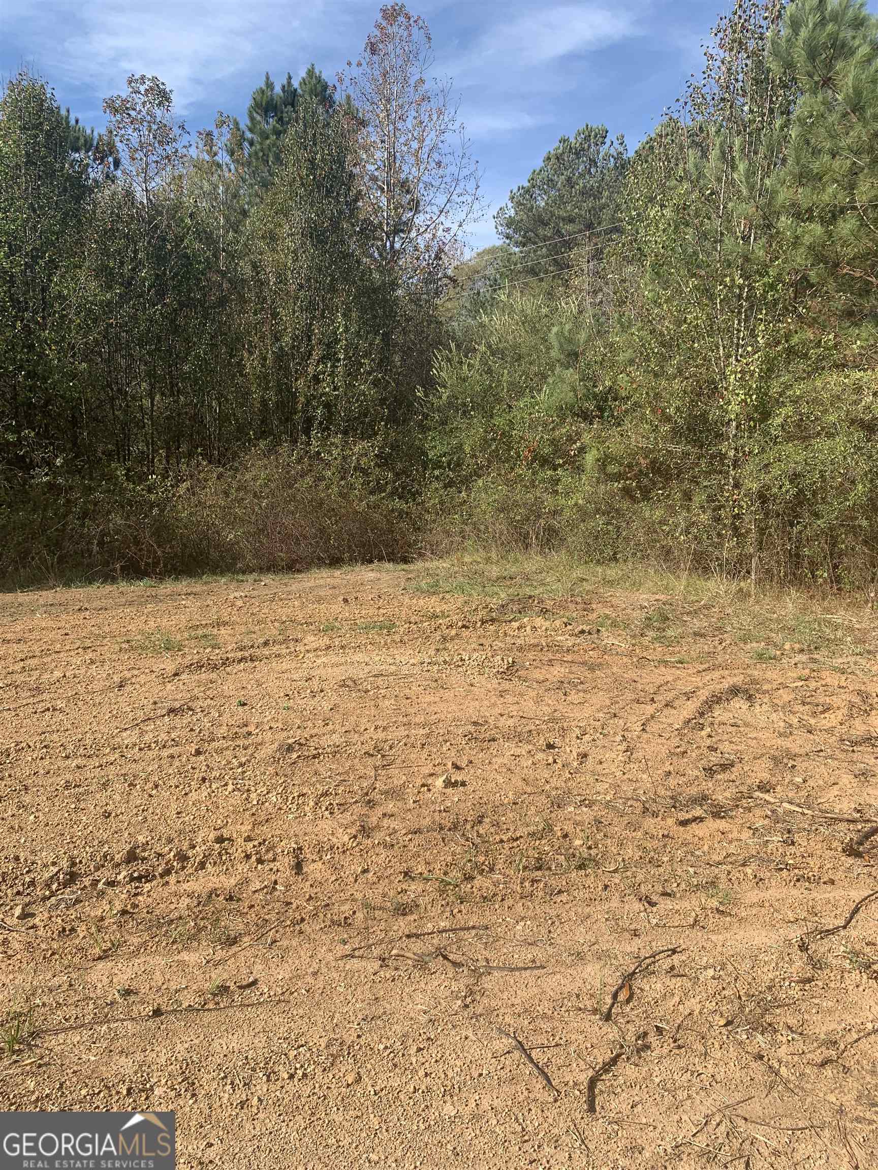 7506 Rivertown Road Fairburn, GA 30213 - Photo 10 of 13