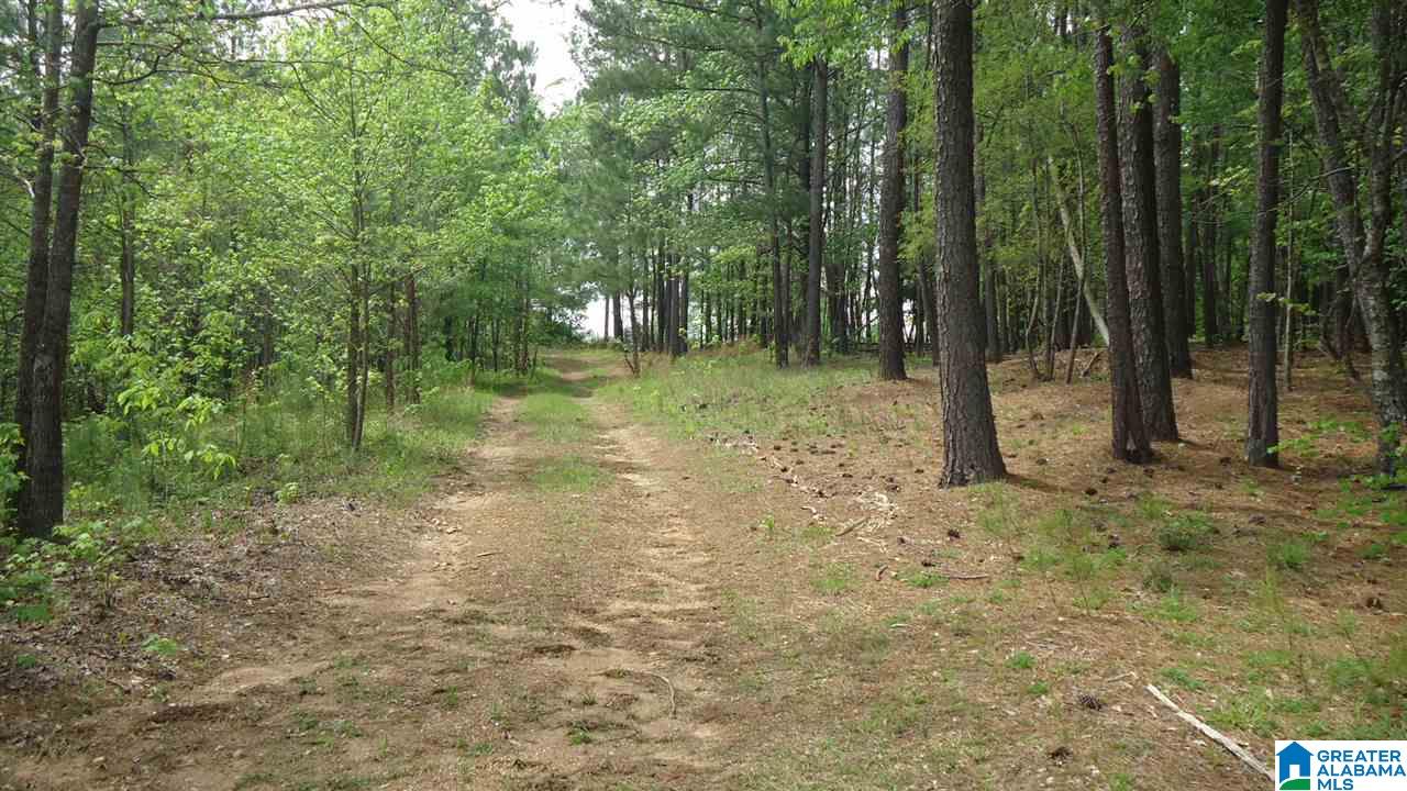 0 Mudd Street Ohatchee, AL 36271 - Photo 17 of 20