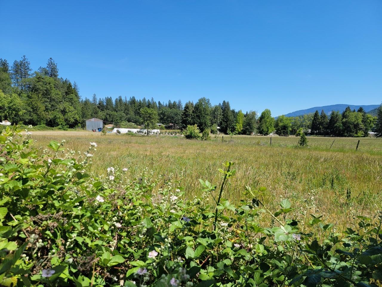 1611 Timberridge Road Grants Pass, OR 97527 - Photo 9 of 12 1611 pasture