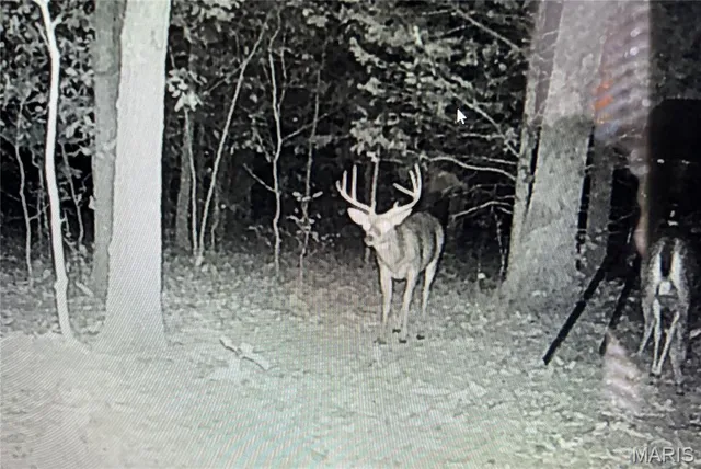 $485,000 | 24357 State Hwy OO, Marble Hill, MO 63764