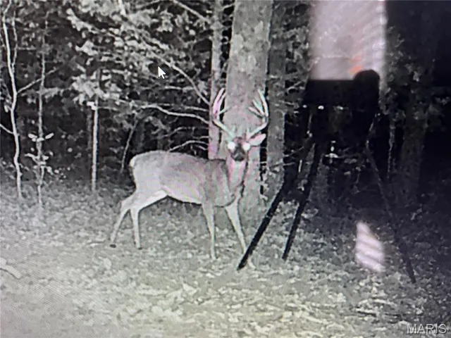 $485,000 | 24357 State Hwy OO, Marble Hill, MO 63764