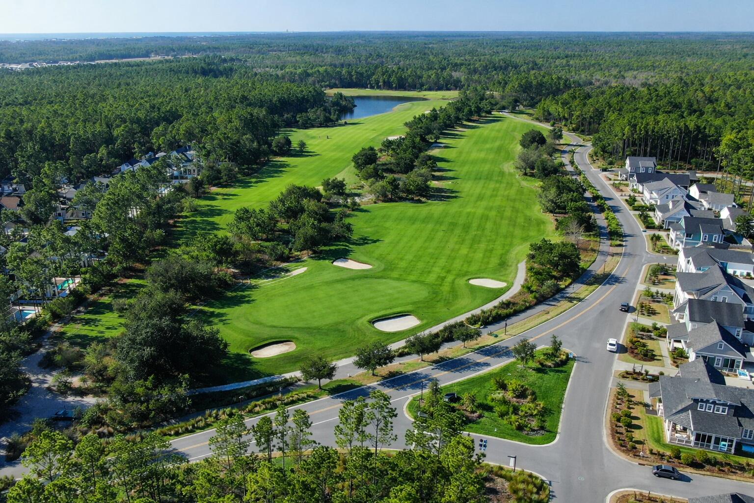 34 Heartwood Street Watersound, FL 32461 - Photo 40 of 42 an aerial view of green landscape with trees houses and mountain view