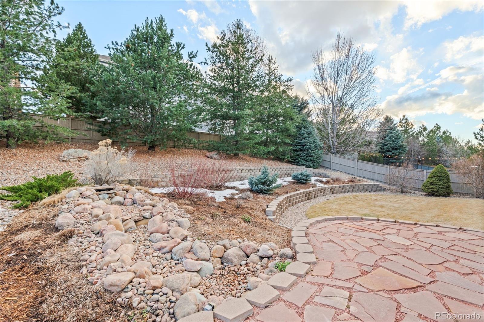 10683 Amesbury Way Highlands Ranch, CO 80126 - Photo 37 of 44 a view of a dry yard with trees