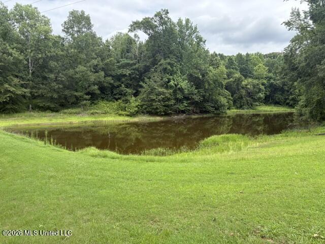 2914 Highway 7 Holcomb, MS 38940 - Photo 26 of 30 Private Pond