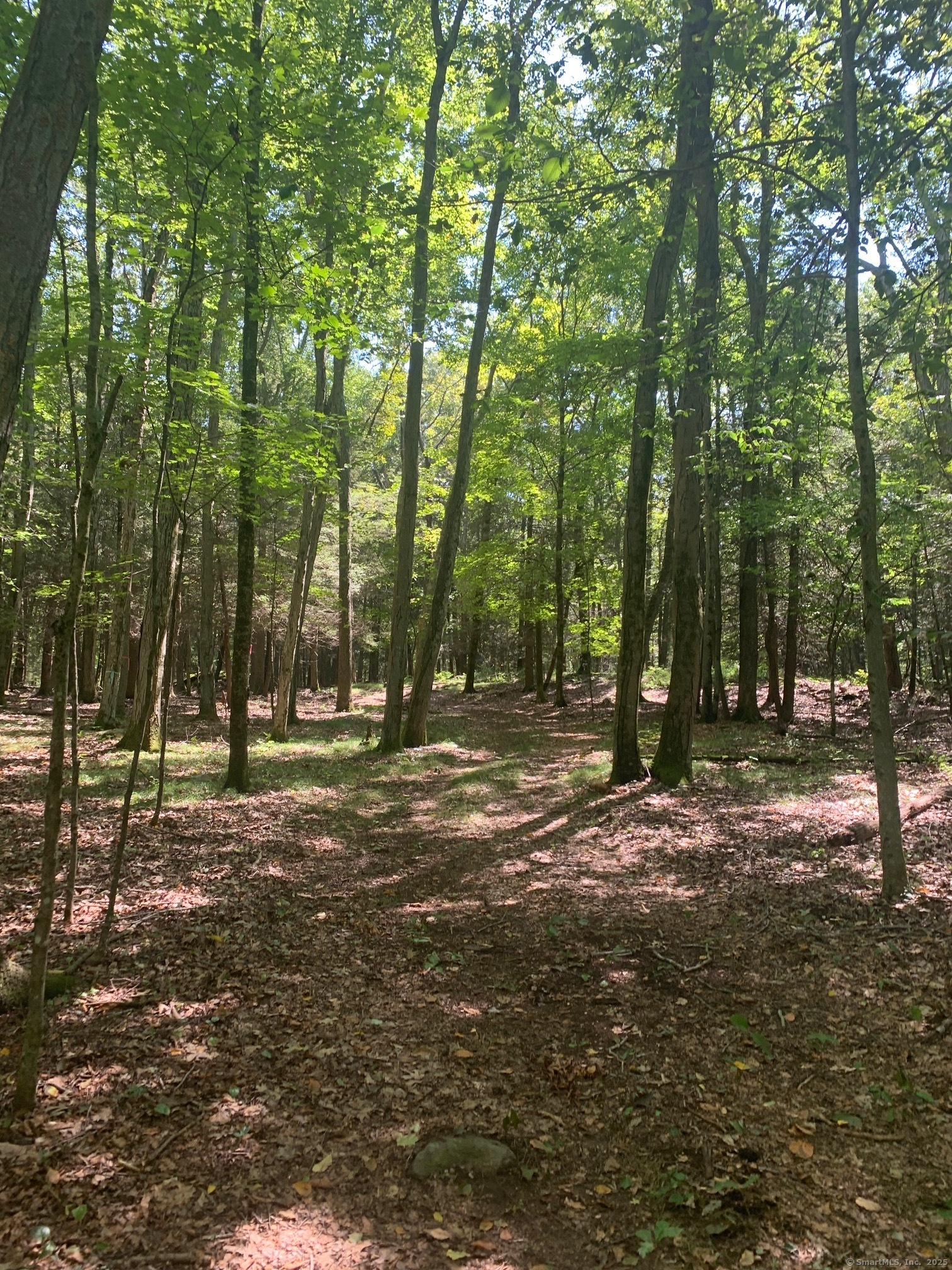 Lot 1 Chalybes Road West Roxbury, CT 06783 - Photo 13 of 22 a view of outdoor space with trees