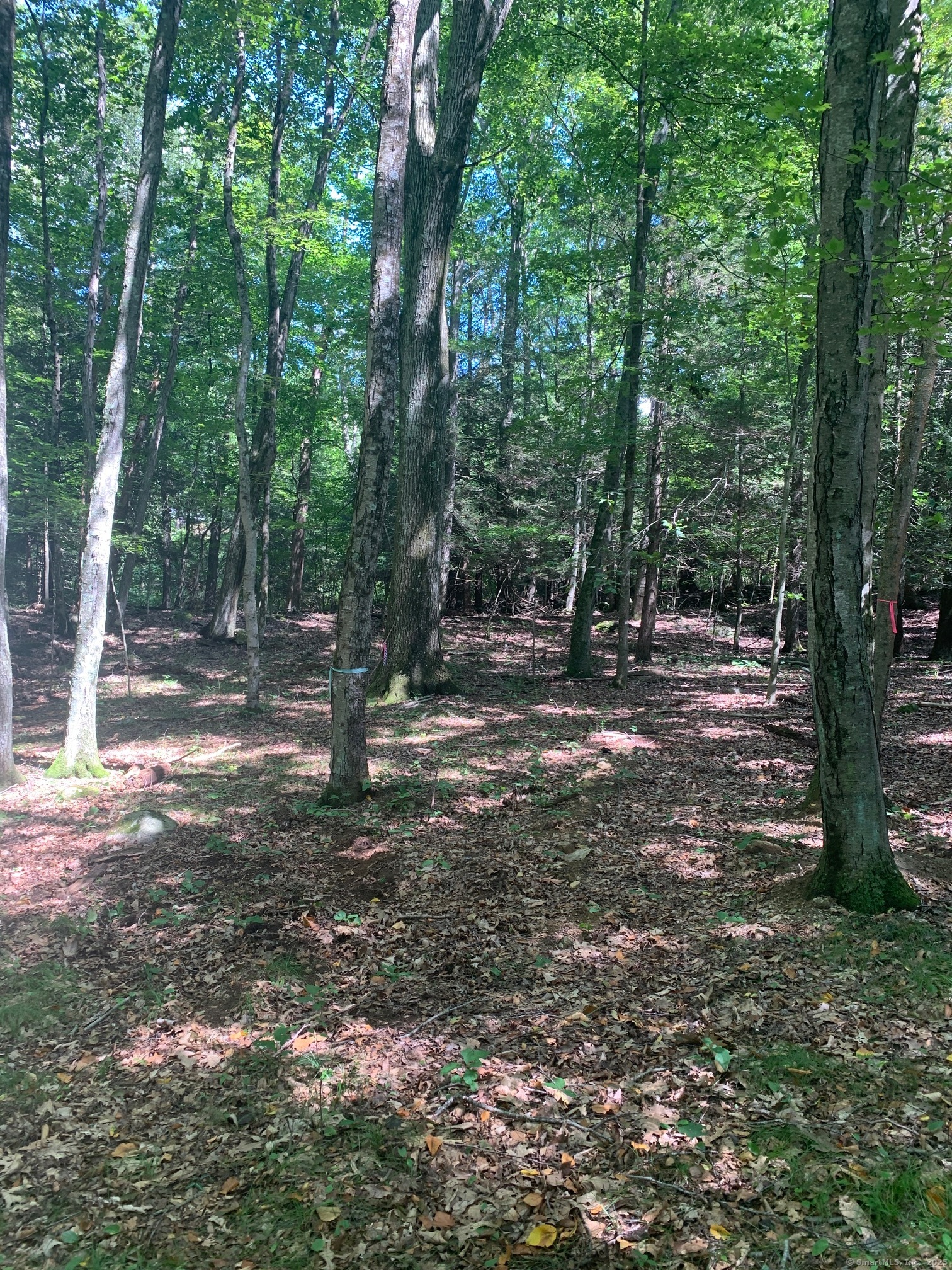 Lot 1 Chalybes Road West Roxbury, CT 06783 - Photo 19 of 22 a view of outdoor space with green space