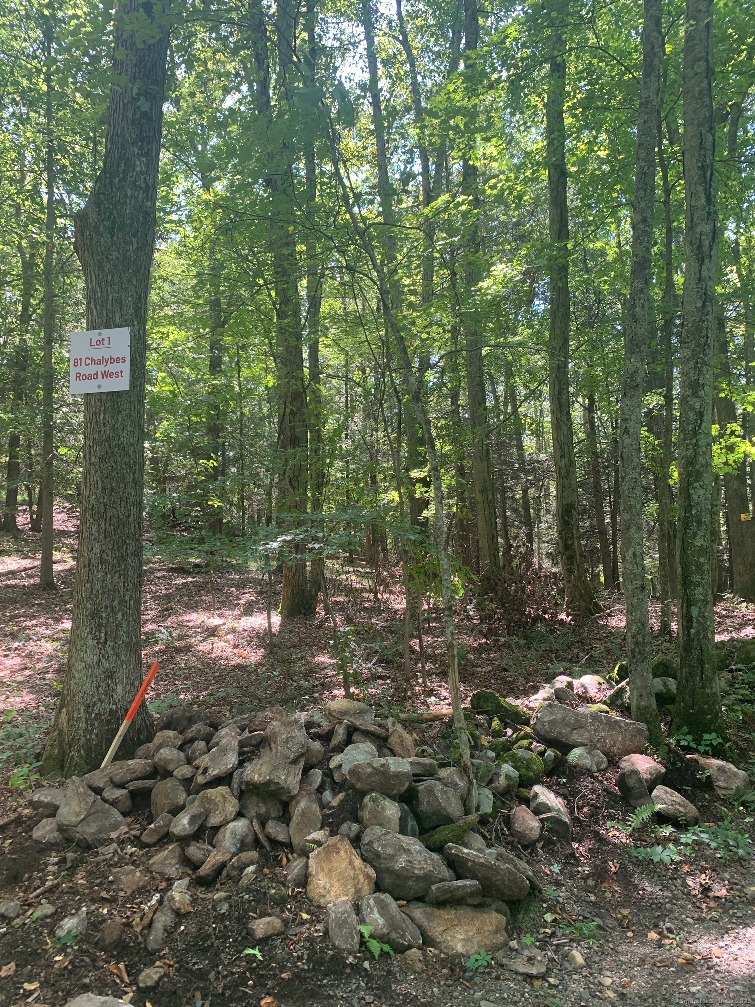 Lot 1 Chalybes Road West Roxbury, CT 06783 - Photo 20 of 22 a backyard of a house with lots of green space