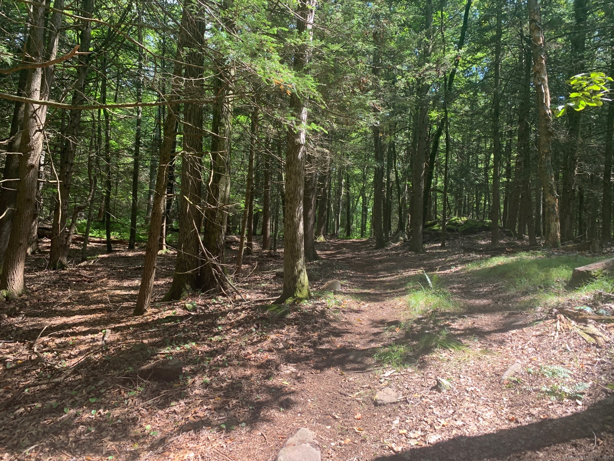 Lot 1 Chalybes Road West Roxbury, CT 06783 - Photo 5 of 22 a view of outdoor space with trees