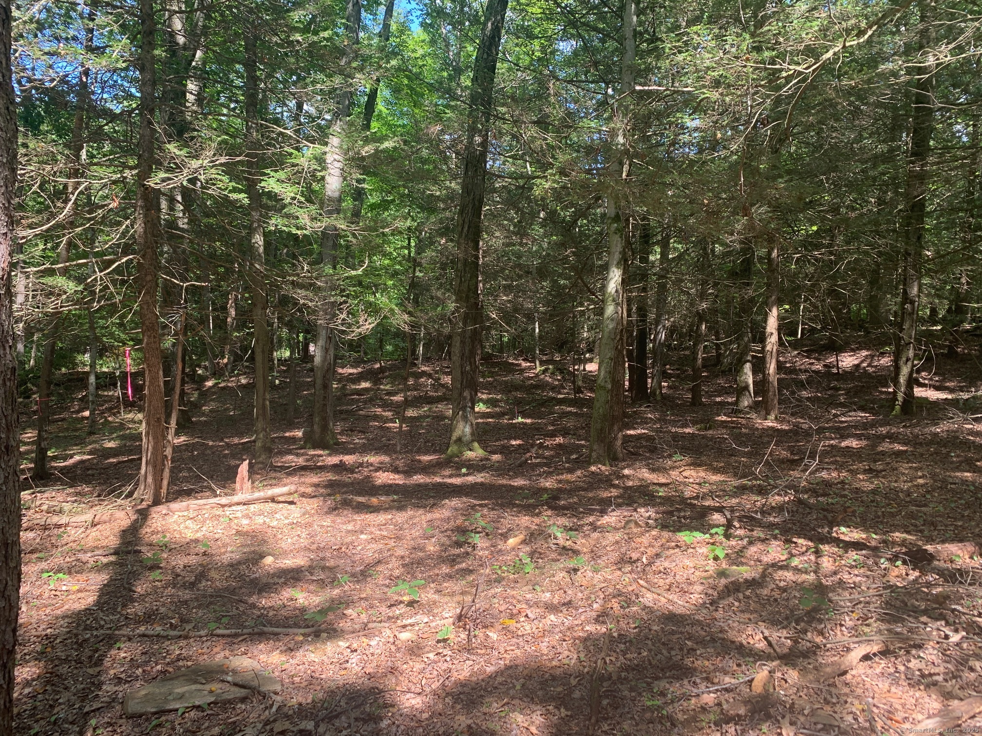 Lot 1 Chalybes Road West Roxbury, CT 06783 - Photo 6 of 22 a backyard of a house with lots of green space