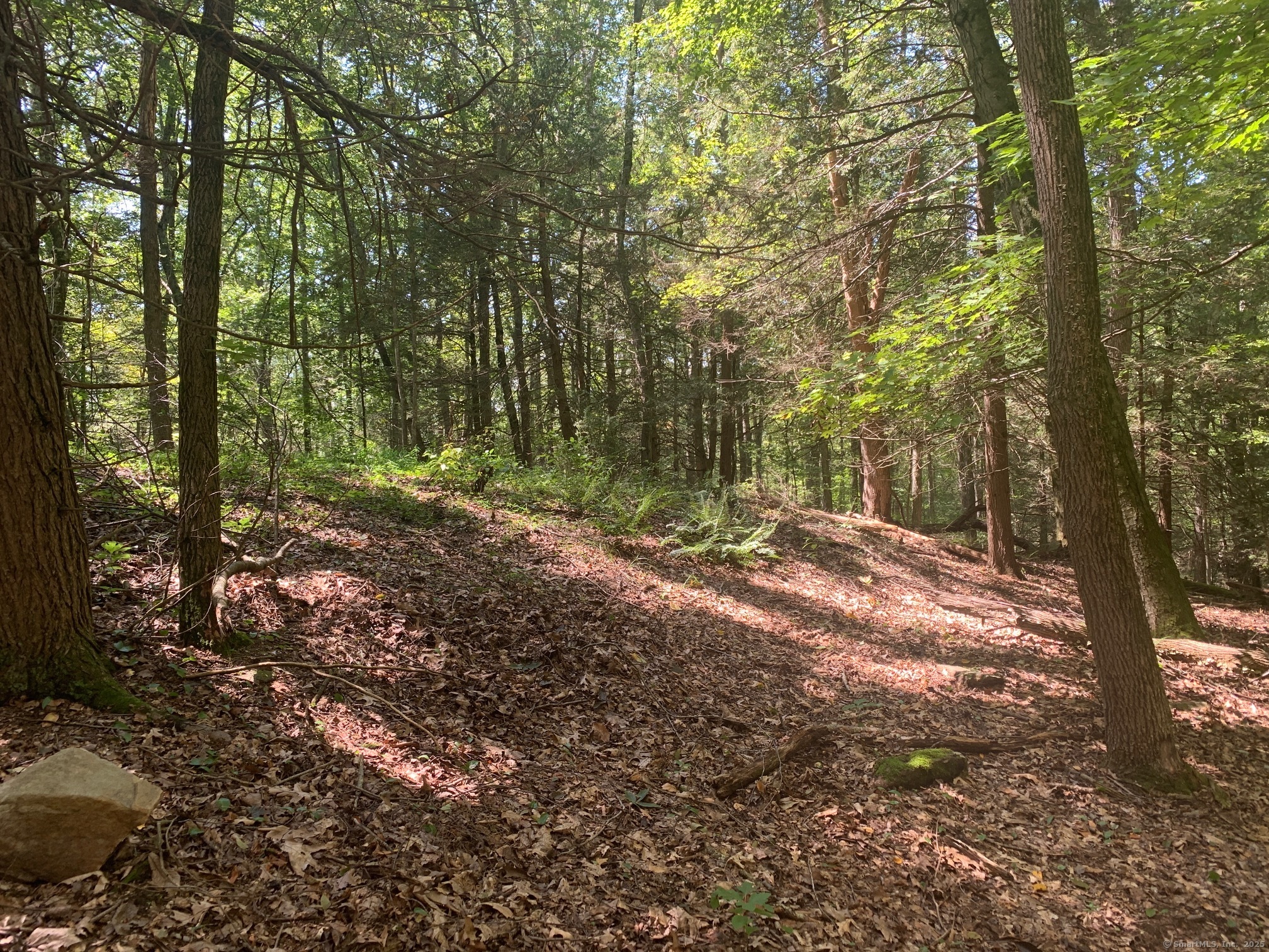 Lot 1 Chalybes Road West Roxbury, CT 06783 - Photo 7 of 22 a view of outdoor space and yard