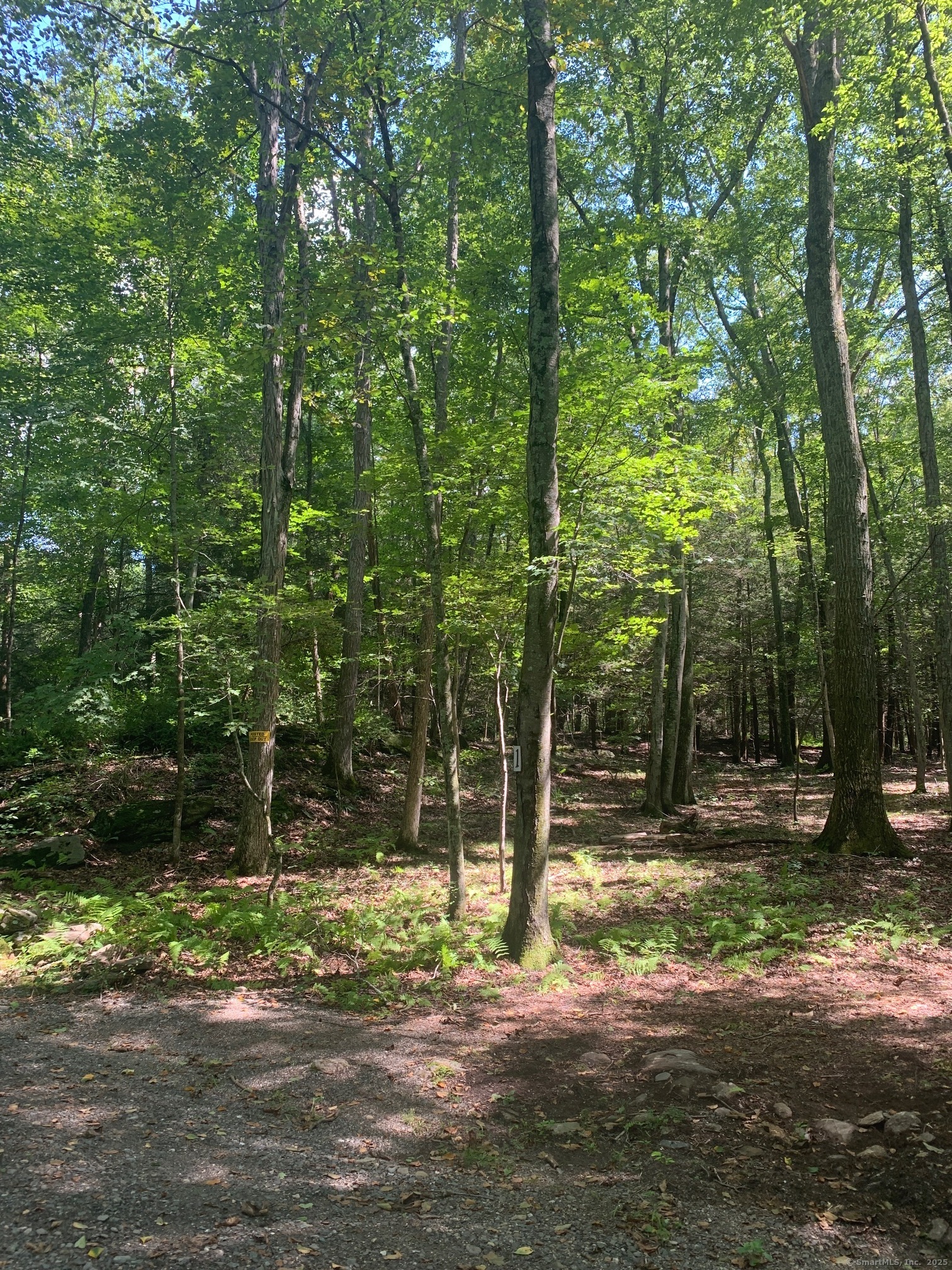 Lot 1 Chalybes Road West Roxbury, CT 06783 - Photo 9 of 22 a backyard of a house with lots of green space