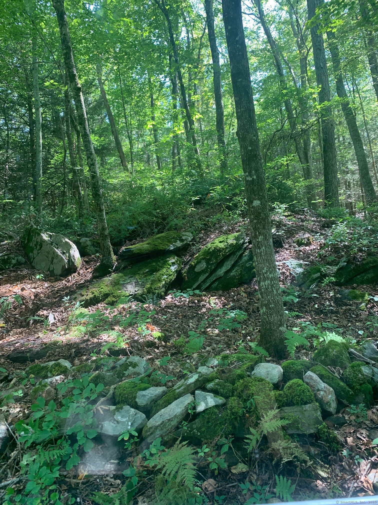 Lot 1 Chalybes Road West Roxbury, CT 06783 - Photo 10 of 22 a view of outdoor space and green space