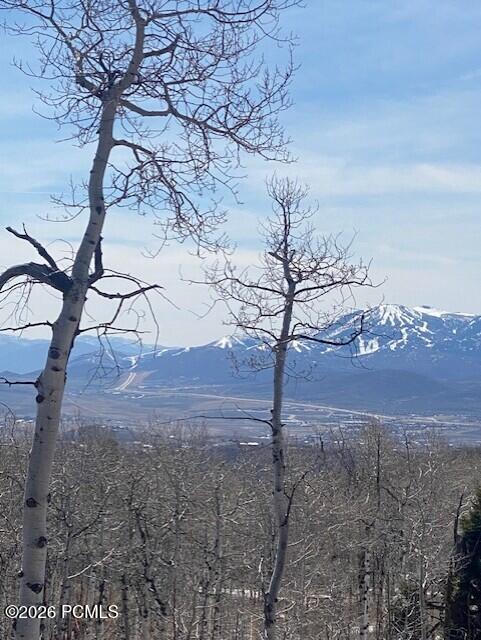 2604 South Forest Meadow Road Coalville, UT 84017 - Photo 22 of 28