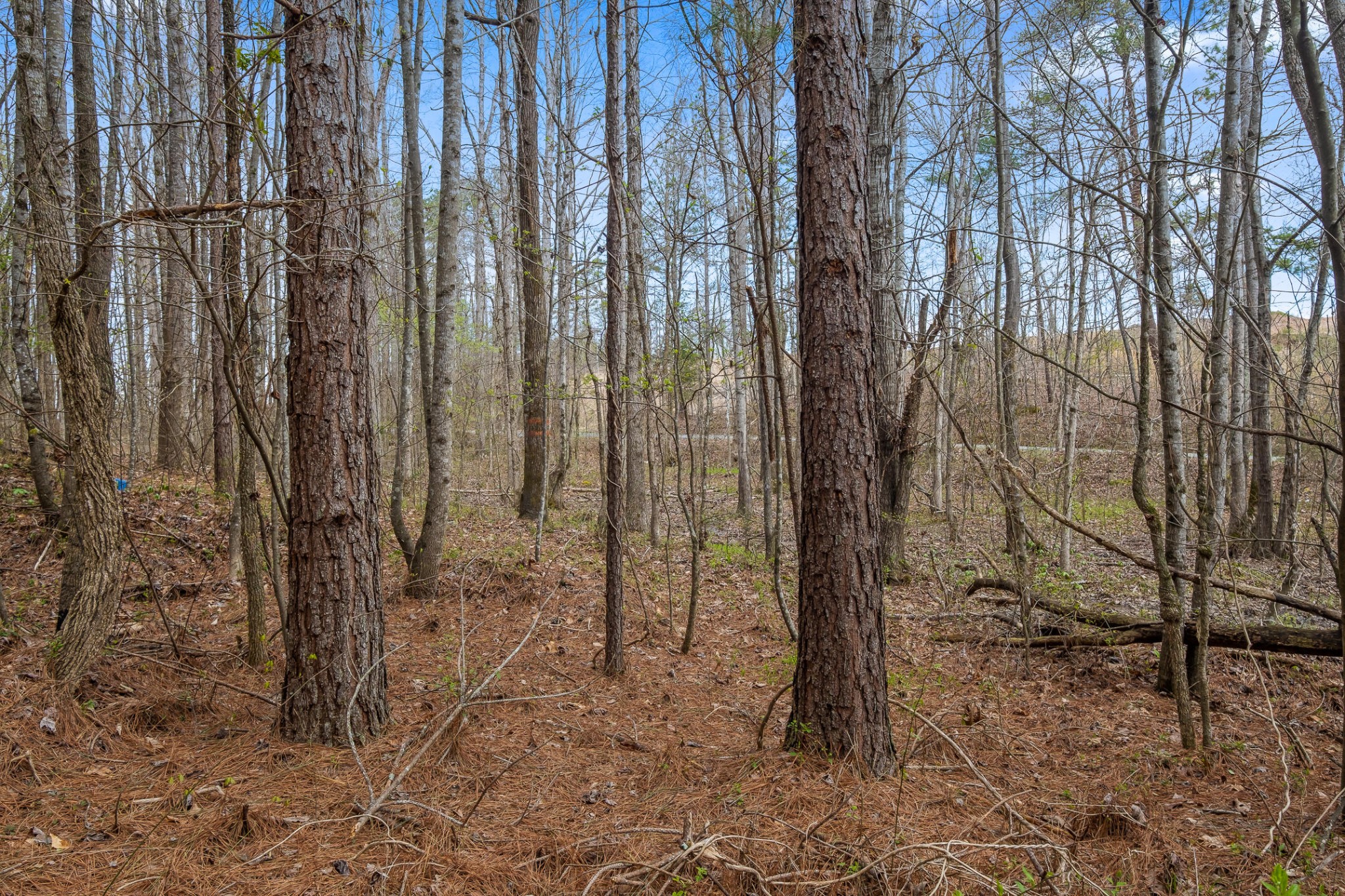 2041 Plank Road Decatur, TN 37322 - Photo 30 of 36 Gallery Image 30