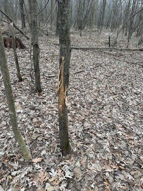 17.75-acres County Rd G Oxford, WI 53952 - Photo 23 of 56