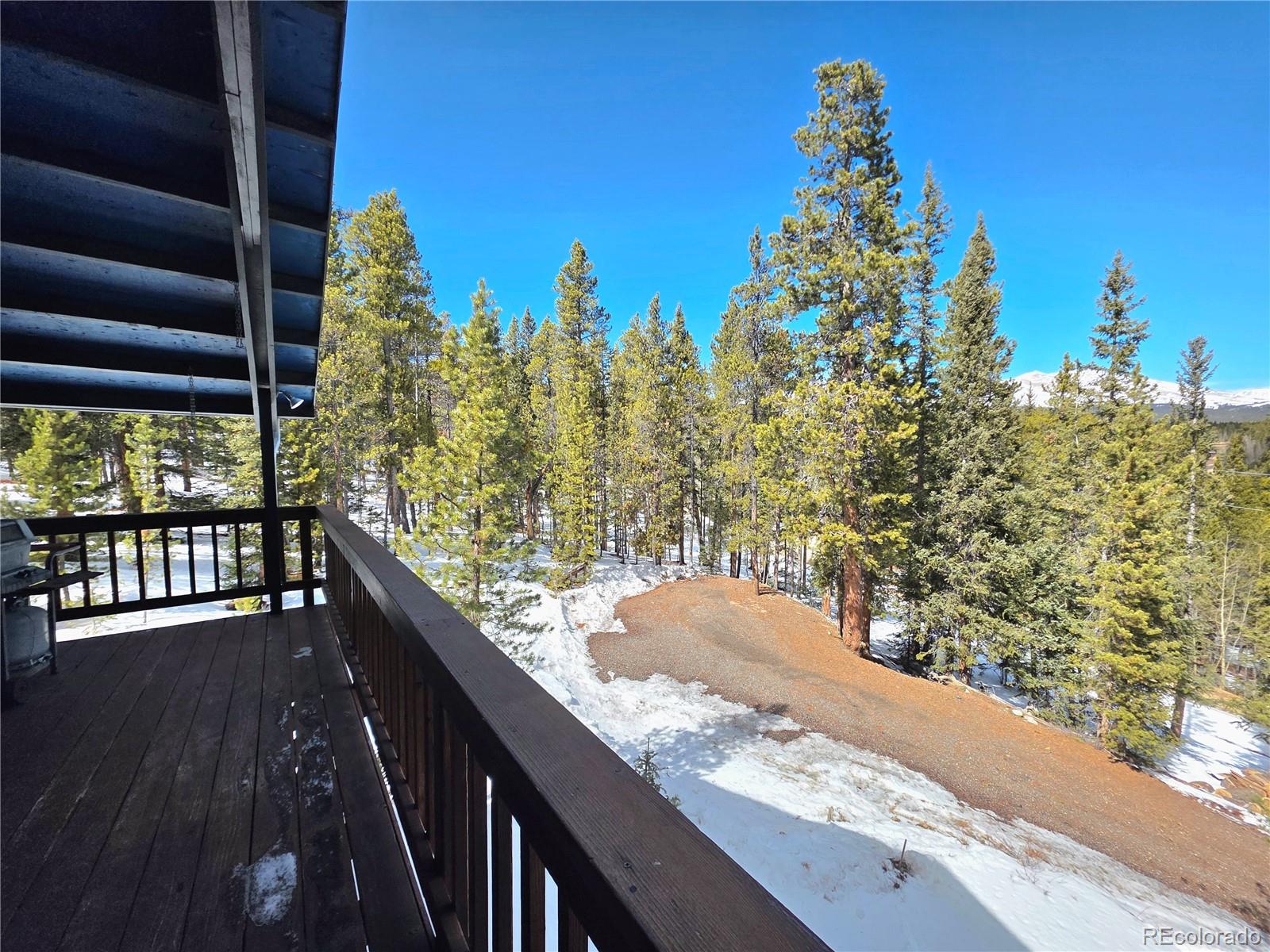 211 Pine Ridge Road Alma, CO 80420 - Photo 12 of 48