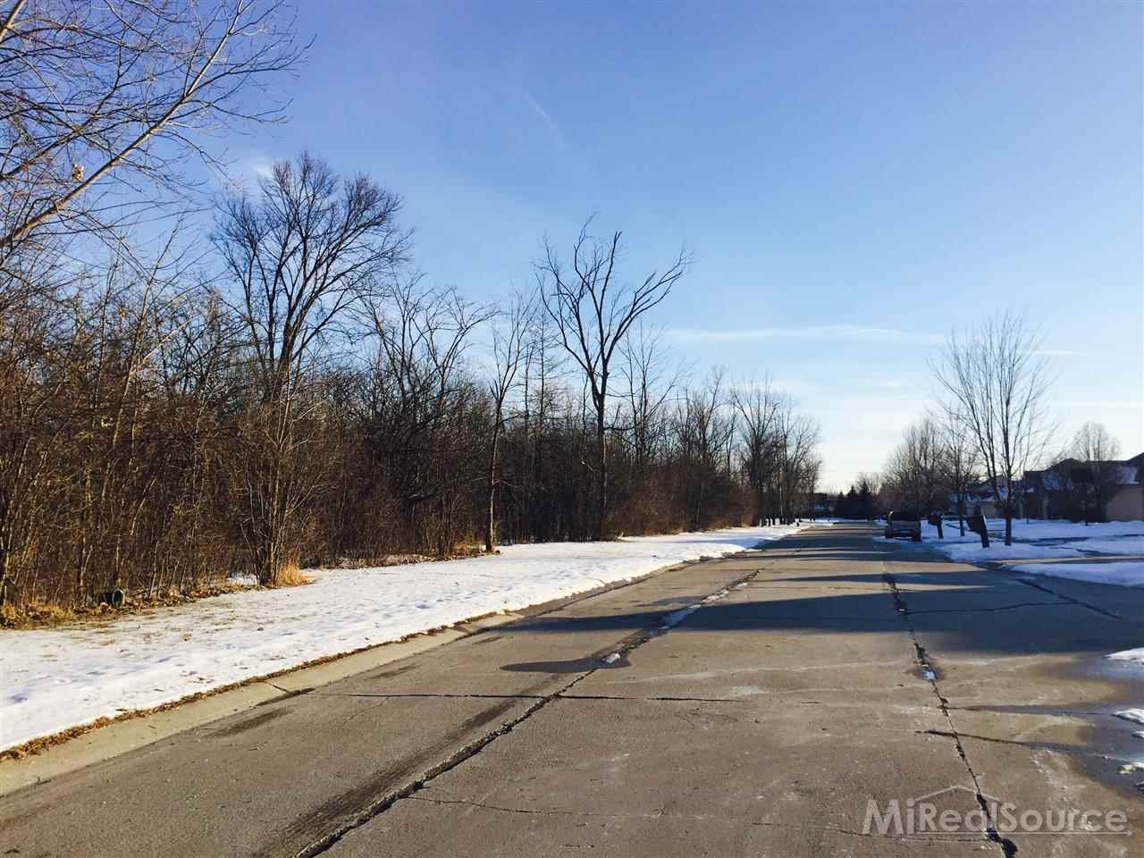 0 Ajanta Sterling Heights, MI 48310 - Photo 8 of 8