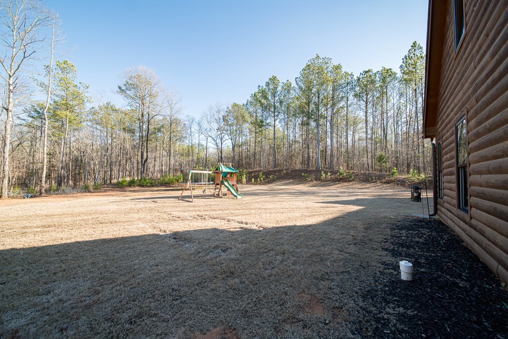 228 Savior Lane Hamilton, GA 31811 - Photo 9 of 51
