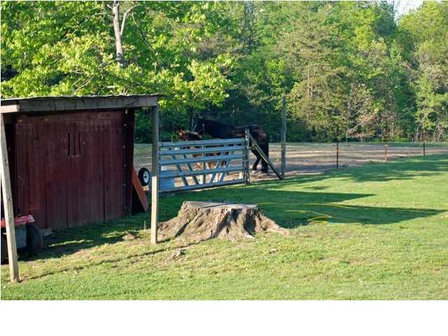 4112 Henson Gap Road Dunlap, TN 37327 - Photo 4 of 21 Additional Photo