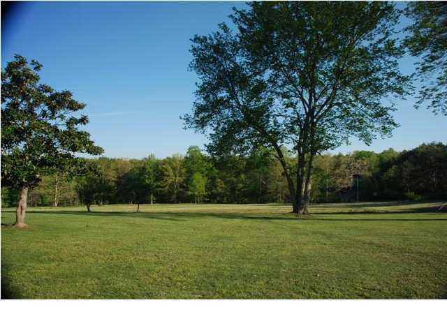 4112 Henson Gap Road Dunlap, TN 37327 - Photo 6 of 21 Additional Photo