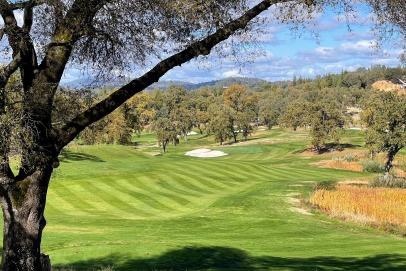 12966 Austin Frst Cir  