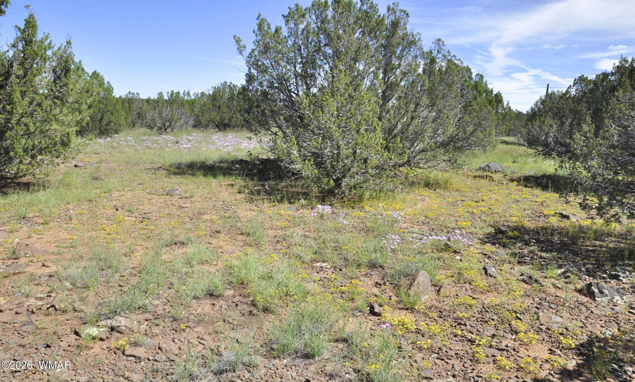 9184 C Chimisa Ranch Road Show Low, AZ 85901 - Photo 13 of 15 Gallery Image 13