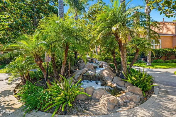 a view of a garden with plants and large trees