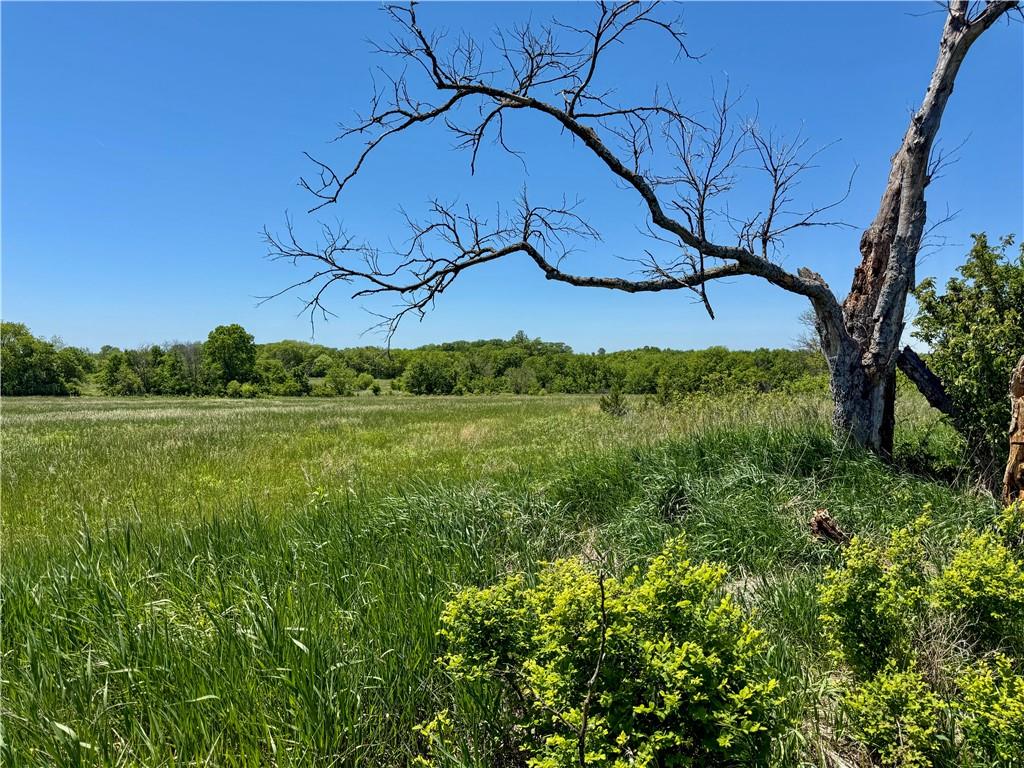 0 South Stanley Road Quenemo, KS 66528 - Photo 15 of 44