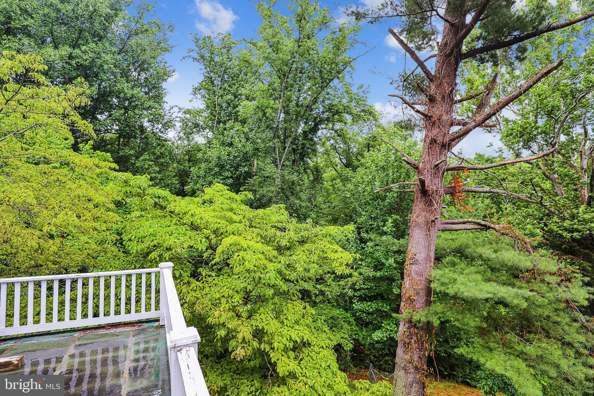 1801 Ashton Road Ashton, MD 20861 - Photo 22 of 83 Gallery Image 22