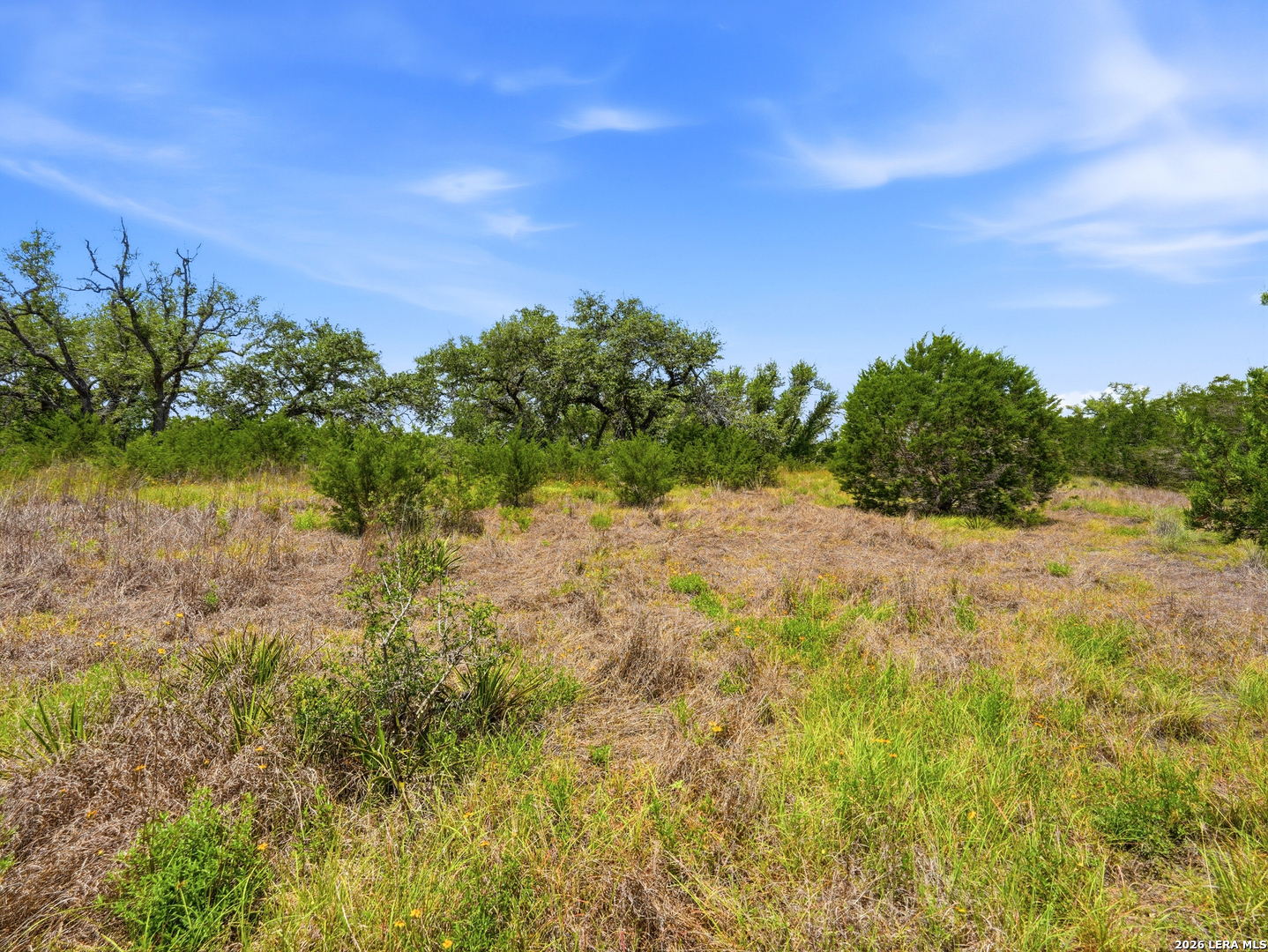 1030 Sunrise Place Spring Branch, TX 78070 - Photo 4 of 30