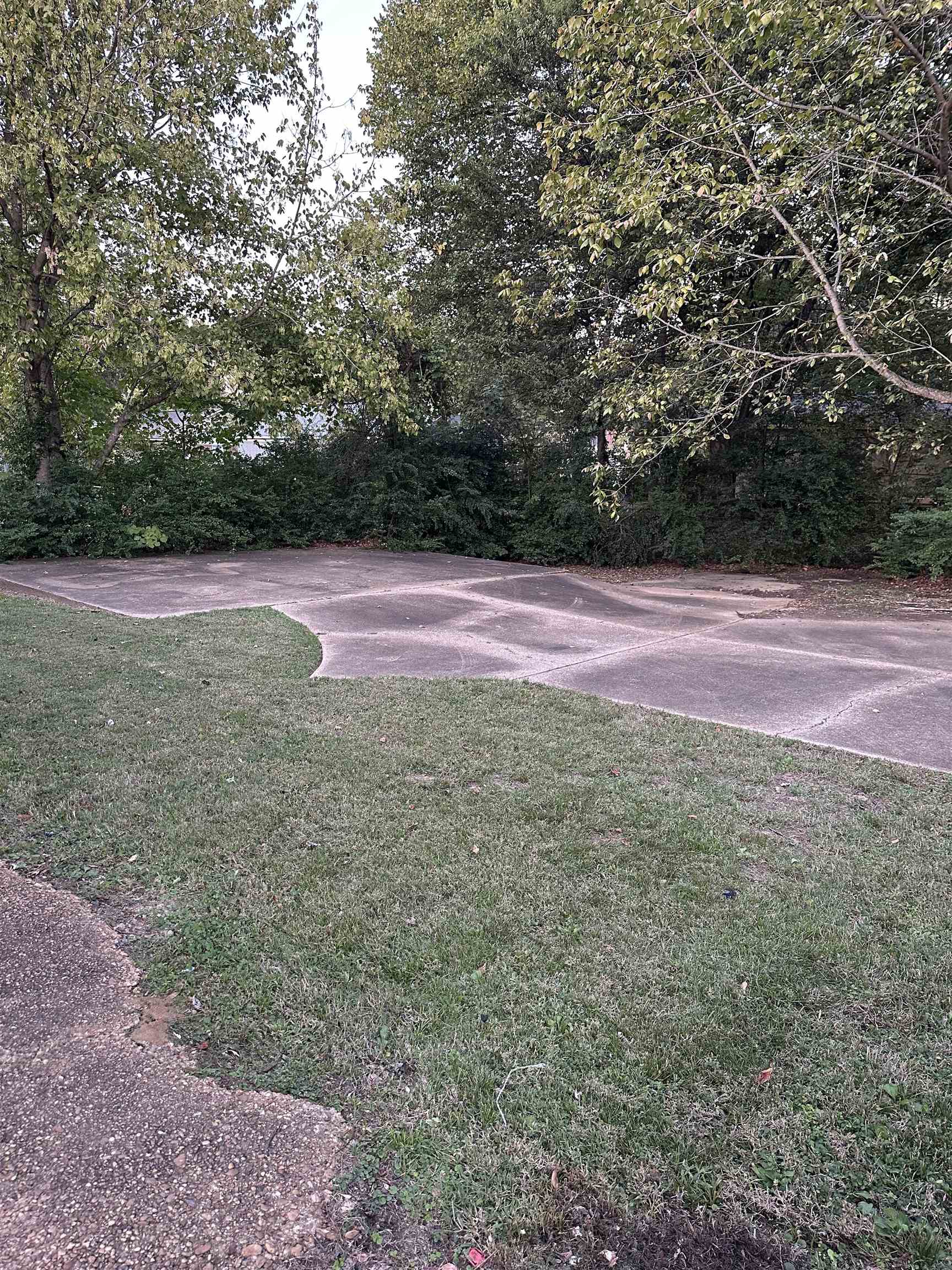 4850 Applestone Street Memphis, TN 38109 - Photo 9 of 9 a view of empty room with yard